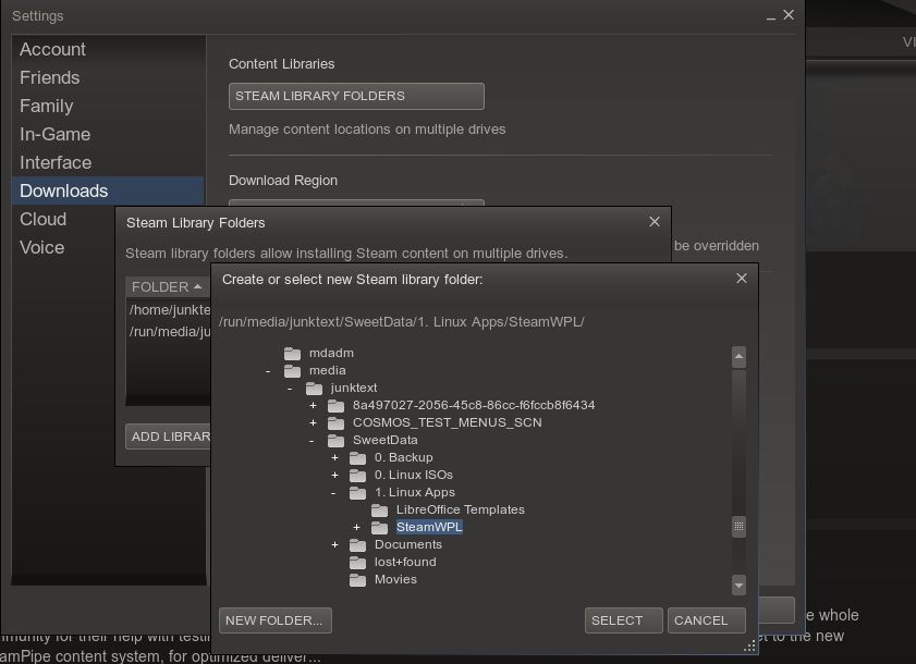 Selecting Steam's Library Folder